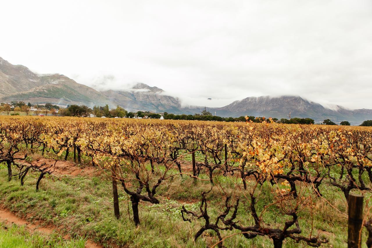 Basse Provence Country House Bed and Breakfast Franschhoek Exterior foto