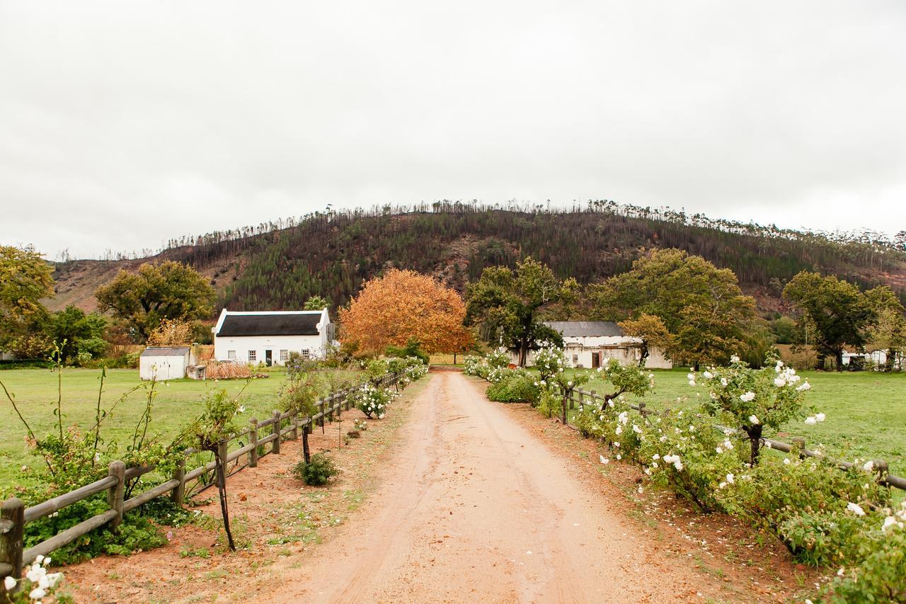 Basse Provence Country House Bed and Breakfast Franschhoek Exterior foto